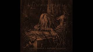 Wallachian Cobwebs  Night Sobbed a Potion Diseased Dark Ambient  Full Album [upl. by Myers879]