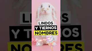 lindos nombres para conejitas🐇🐇 que te sorprenderán conejitas conejos nombresparaconejitas [upl. by Elaynad]