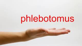 How to Pronounce phlebotomus  American English [upl. by Nelyag949]