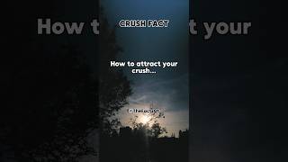 How to attract your crushshorts crushfacts [upl. by Stich13]