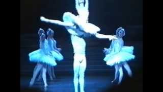 le lac des cygnes sylvie guillem nicolas le riche opera de paris cygne blanc acte 2 [upl. by Tteltrab419]