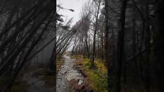 Mount LeConte in the Great Smoky Mountains Tuesday morning during high winds getintotheoutthere [upl. by Uyekawa]