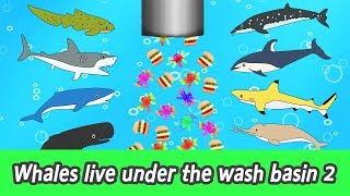 EN Whales live under the wash basin 2 kids animals animation whales adventureㅣCoCosToy [upl. by Zaremski]