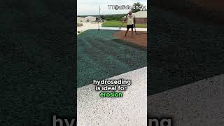 Hydroseeding The Grass Shorts [upl. by Wyly]