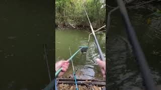 Fish catching with fishing rod reel fishing [upl. by Aititel]