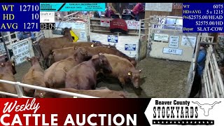 1232024  Beaver County Stockyards Livestock Auction [upl. by Hapte]