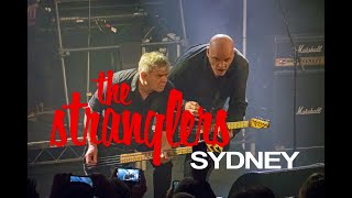 The Stranglers  Sydney  April 22 2023 [upl. by Annabell268]