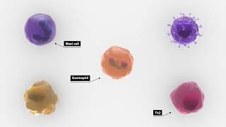 Updates in Eosinophilic Esophagitis Underlying Mechanisms and Novel Targeted Therapy [upl. by Anileda]