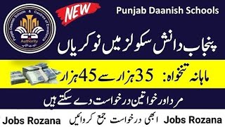 Punjab Danish School Jobs 2024  Government Punjab Danish School Jobs 2024 [upl. by Atihcnoc]