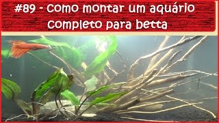 Como montar um aquário completo para betta [upl. by Aldric837]