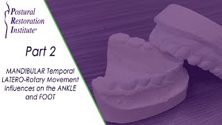 Mandibular Temporal Latero–Rotary Movement Influences  Part 2 [upl. by Mcnully]