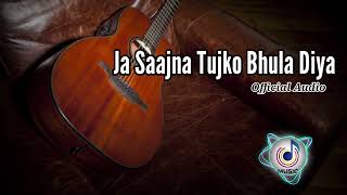 Ja Saajna Tujko Bhula Diya🎶  New Hindi Song new trending viral [upl. by Silbahc817]