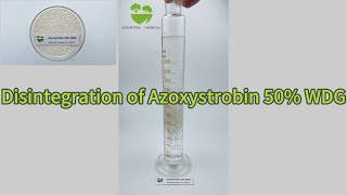 Disintegration and Dispersion of Azoxystrobin 50 WDG [upl. by Ydur]