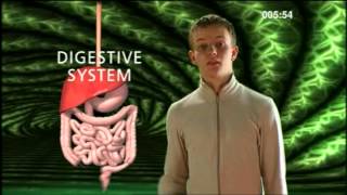 Cell Tissue Organ System Organism  BBC Curriculum Bites [upl. by Mellie]