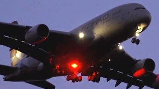 1080p50 Overhead Arrivals ● Plane Spotting  Melbourne Airport  August 2016 [upl. by Anned]