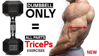 TRICEPS Exercises WITH DUMBBELLS AT HOME AND GYM [upl. by Semmes770]