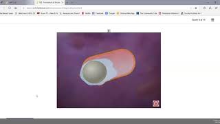 Bacterial Endospores [upl. by Namlak]