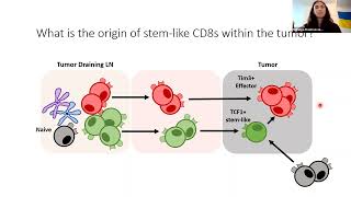 Nataliya Prokhnevska CD8 T cell activation in cancer [upl. by Lawford]