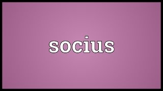 Socius Meaning [upl. by Lindgren401]