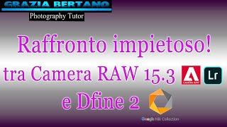 RIDUCI RUMORE confronto impietoso tra Camera rawLightroom e Dfine 2 di Nik Collection [upl. by Htaras52]