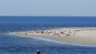 Borkum 2018 Urlaub an der Nordsee 0705  110518 [upl. by Llecrep]