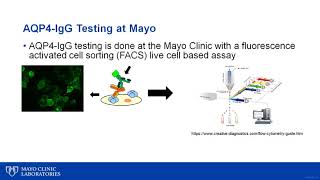 Optic Neuritis in the Era of Biomarkers [upl. by Volnay]