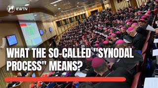 Synod on Synodality  What the quotSynodal Processquot Means [upl. by Sharai752]