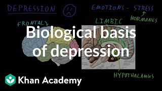 Biological basis of depression  Behavior  MCAT  Khan Academy [upl. by Wilinski]