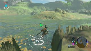 Korok seeds  Deya Lake  Lake Tower 12  Zelda BOTW [upl. by Jaddan]