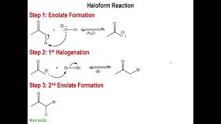 Lec7  Halogenation of the Alpha Carbon amp the Haloform Reaction [upl. by Feinberg]