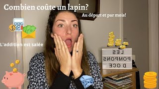 COMBIEN COÛTE UN LAPIN   Acheter un lapin ça coûte combien  Et par mois [upl. by Annaek]