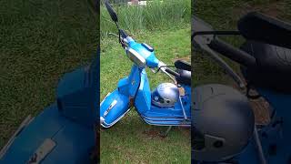 VESPA VESPEIRO DINELLI  O UNICO CANAL DE TUTORIAL DO BRASIL [upl. by Beka]