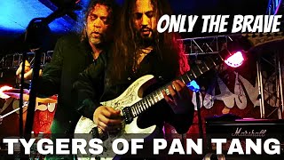 TYGERS OF PAN TANG  ONLY THE BRAVE  LIVE BACKSTAGE BAR 20230513 [upl. by Eilah]