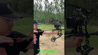 Steel Ball Compound Bow Kit Dual Purpose Bow [upl. by Mccourt982]