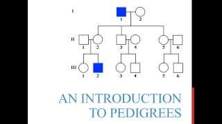 An introduction to genetics pedigrees [upl. by Gerladina]