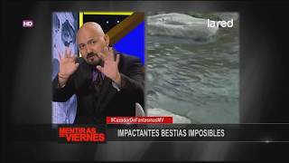 Impactantes Bestias Imposibles [upl. by Sarat]