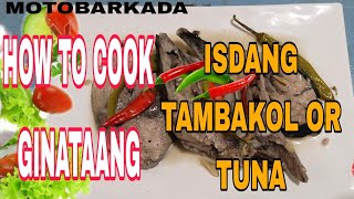 HOW TO COOK GINATAANG ISDANG TUNA OR TAMBAKOL PAKSIW SA GATA cooking [upl. by Vaios396]