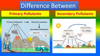 Difference Between Primary Pollutants and Secondary Pollutants [upl. by Dauf]