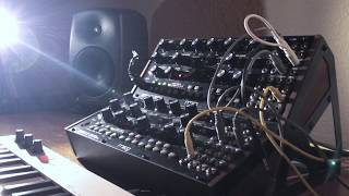 No 8  Moog Mother 32 Series [upl. by Langston566]