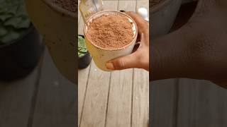 cold milo milodinosaur quickrecipe trending milo viralvideo shorts video diy summerdrink [upl. by Catherine77]