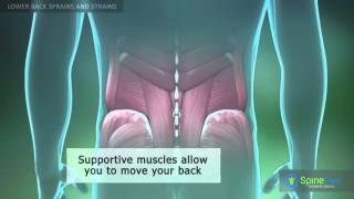 Lower Back Sprains and Strains [upl. by Koppel]