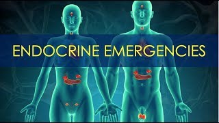 Endocrine Emergencies  Patient Assessment [upl. by Philemol767]