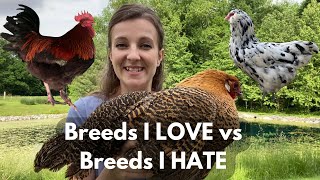 3 BEST amp 3 WORST CHICKEN BREEDS  Opinions of a Breeder amp Homesteader [upl. by Dayna]