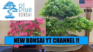 NEW BONSAI YOUTUBE CHANNEL [upl. by Nabalas]