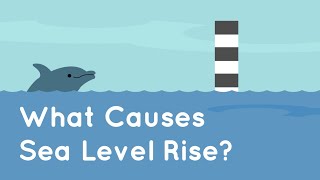 What Causes Sea Level Rise [upl. by Llejk]