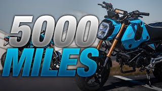 5000 Mile Honda Grom REVIEW Why You SHOULD Get A Grom In 2025 [upl. by Tjader]