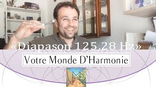 Comment utiliser le Diapason 12528 Hz  VMDH [upl. by Stefania]