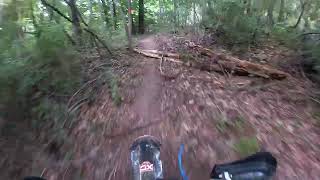 2024 Grassman National Enduro test 4 [upl. by Nollahs]