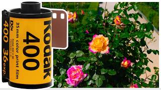 Kodak Ultramax 400  Lowlight amp Daylight  4K [upl. by Imeka655]