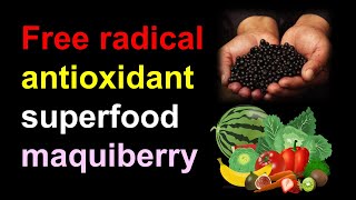 영어Free radical antioxidant superfood maqui berry [upl. by Feinstein61]